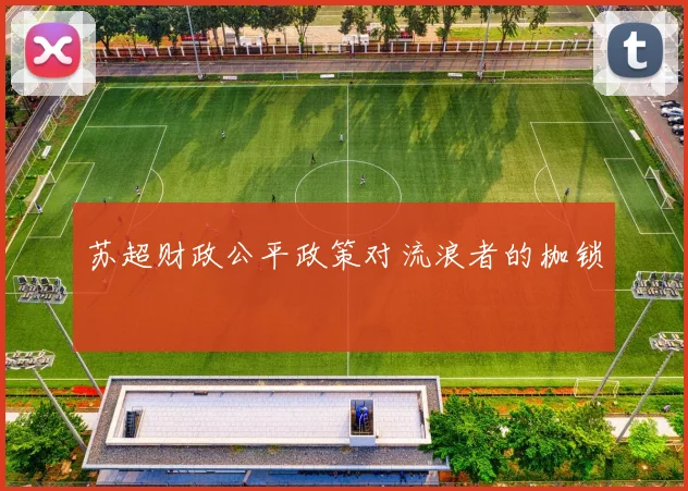 苏超财政公平政策对流浪者的枷锁