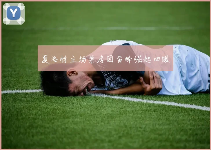 夏洛特主场票房因黄蜂崛起回暖